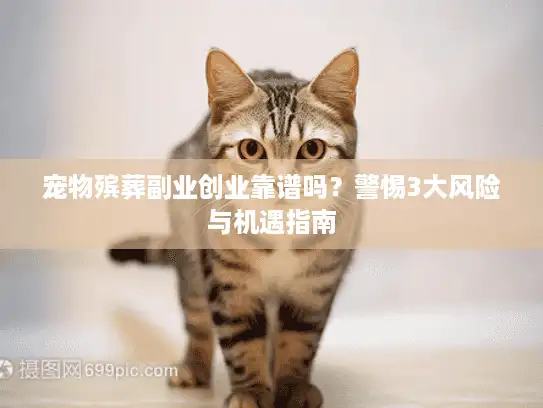 宠物殡葬副业创业靠谱吗？警惕3大风险与机遇指南
