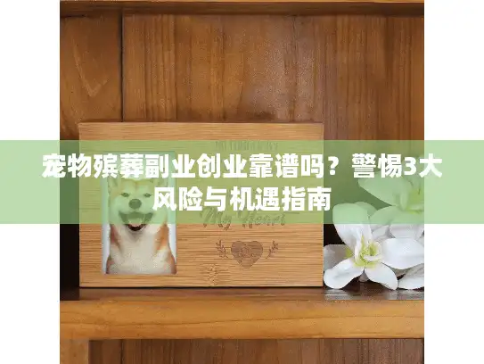 宠物殡葬副业创业靠谱吗？警惕3大风险与机遇指南