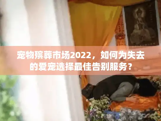 宠物殡葬市场2022，如何为失去的爱宠选择最佳告别服务？