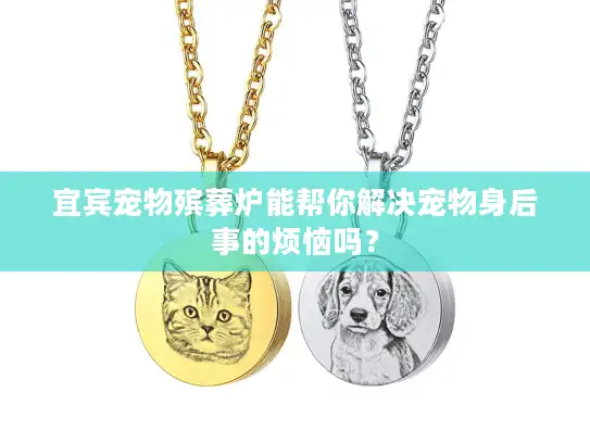 宜宾宠物殡葬炉能帮你解决宠物身后事的烦恼吗？