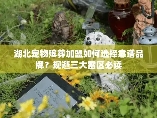 湖北宠物殡葬加盟如何选择靠谱品牌？规避三大雷区必读
