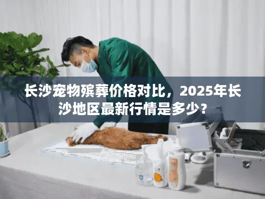 长沙宠物殡葬价格对比，2025年长沙地区最新行情是多少？