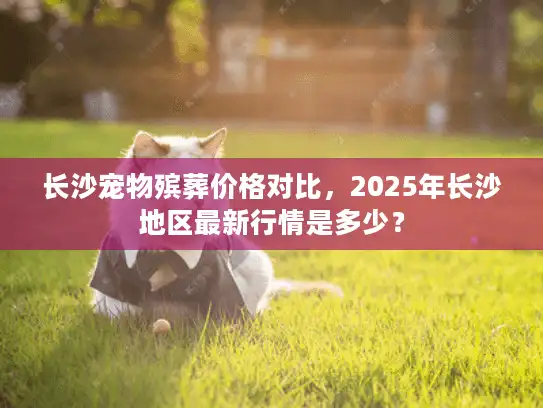 长沙宠物殡葬价格对比，2025年长沙地区最新行情是多少？