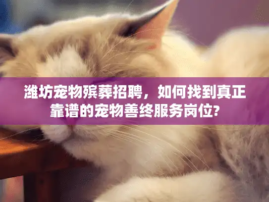 潍坊宠物殡葬招聘，如何找到真正靠谱的宠物善终服务岗位?