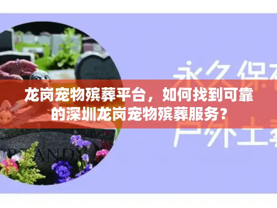 龙岗宠物殡葬平台，如何找到可靠的深圳龙岗宠物殡葬服务？