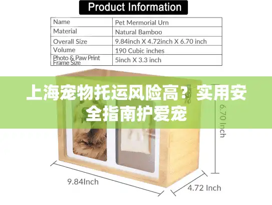 上海宠物托运风险高？实用安全指南护爱宠