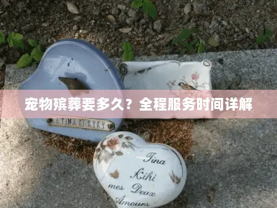 宠物殡葬要多久？全程服务时间详解