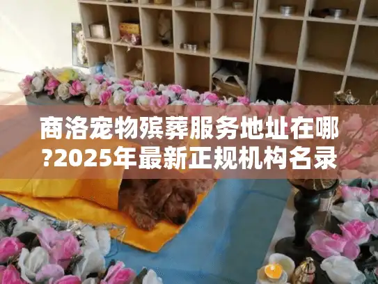 商洛宠物殡葬服务地址在哪?2025年最新正规机构名录及选择指南