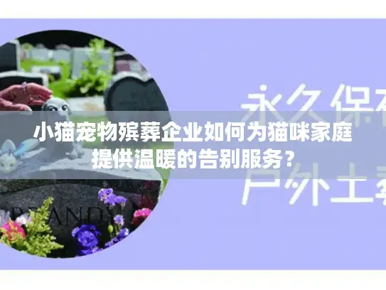 小猫宠物殡葬企业如何为猫咪家庭提供温暖的告别服务？