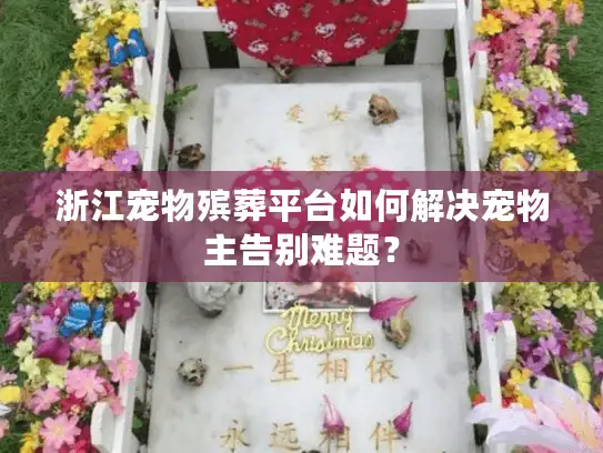 浙江宠物殡葬平台如何解决宠物主告别难题？