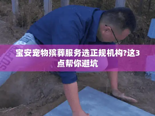 宝安宠物殡葬服务选正规机构?这3点帮你避坑
