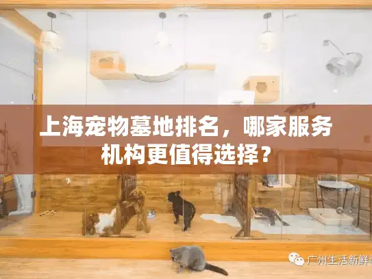 上海宠物墓地排名，哪家服务机构更值得选择？