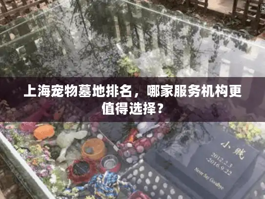 上海宠物墓地排名，哪家服务机构更值得选择？