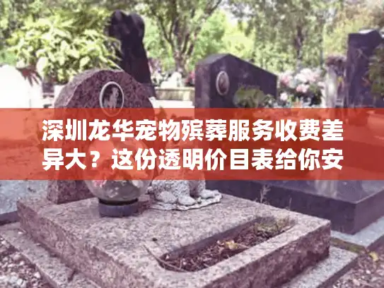 深圳龙华宠物殡葬服务收费差异大？这份透明价目表给你安心告别