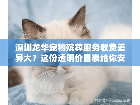 深圳龙华宠物殡葬服务收费差异大？这份透明价目表给你安心告别