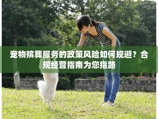 宠物殡葬服务的政策风险如何规避？合规经营指南为您指路