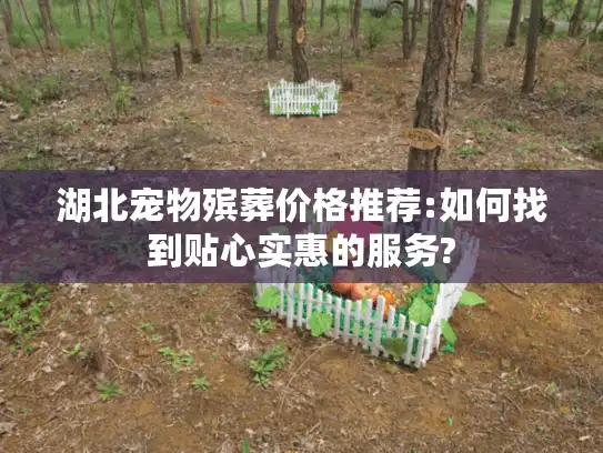 湖北宠物殡葬价格推荐:如何找到贴心实惠的服务?