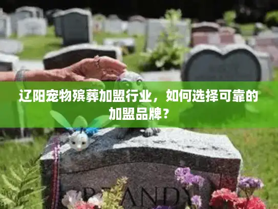 辽阳宠物殡葬加盟行业，如何选择可靠的加盟品牌？