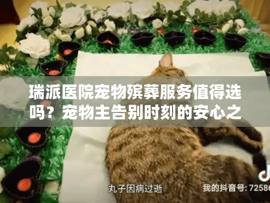 瑞派医院宠物殡葬服务值得选吗？宠物主告别时刻的安心之选