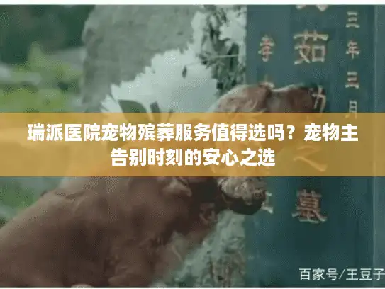 瑞派医院宠物殡葬服务值得选吗？宠物主告别时刻的安心之选