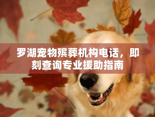 罗湖宠物殡葬机构电话，即刻查询专业援助指南