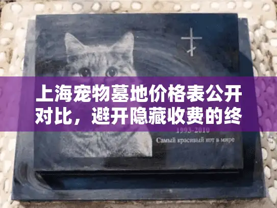 上海宠物墓地价格表公开对比，避开隐藏收费的终极指南