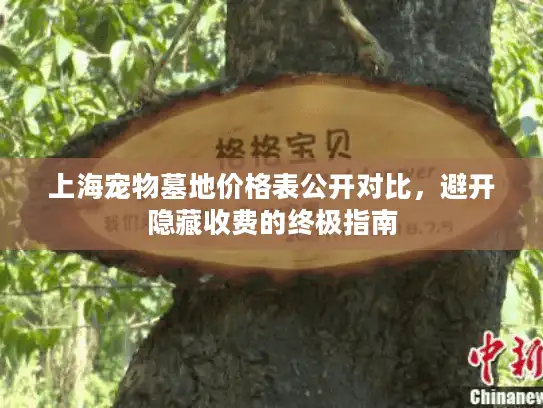 上海宠物墓地价格表公开对比，避开隐藏收费的终极指南