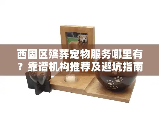 西固区殡葬宠物服务哪里有？靠谱机构推荐及避坑指南