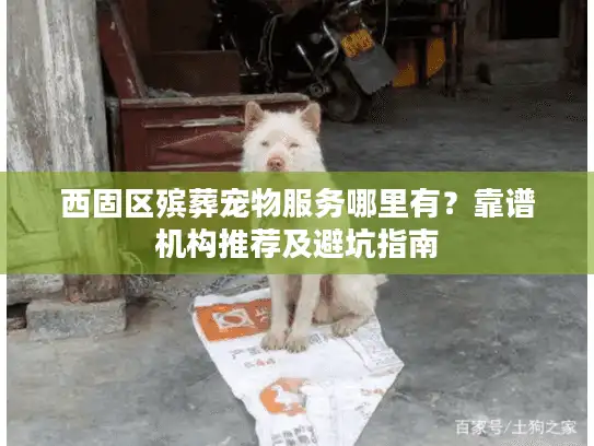 西固区殡葬宠物服务哪里有？靠谱机构推荐及避坑指南
