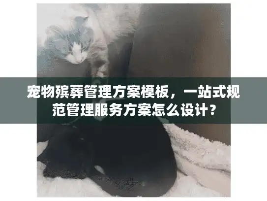 宠物殡葬管理方案模板，一站式规范管理服务方案怎么设计？