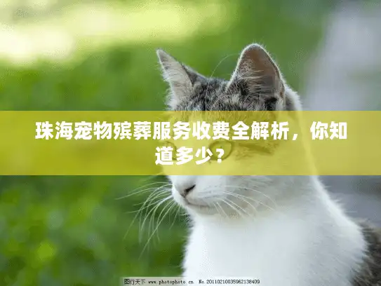 珠海宠物殡葬服务收费全解析，你知道多少？