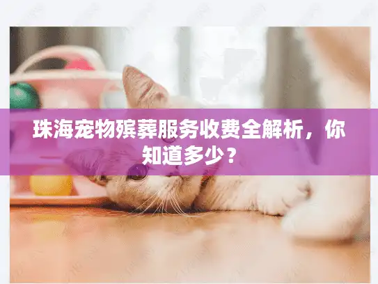 珠海宠物殡葬服务收费全解析，你知道多少？