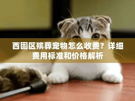 西固区殡葬宠物怎么收费？详细费用标准和价格解析