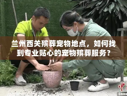 兰州西关殡葬宠物地点，如何找到专业贴心的宠物殡葬服务？