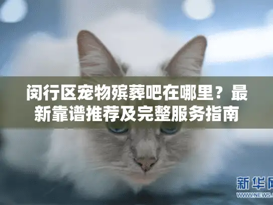 闵行区宠物殡葬吧在哪里？最新靠谱推荐及完整服务指南