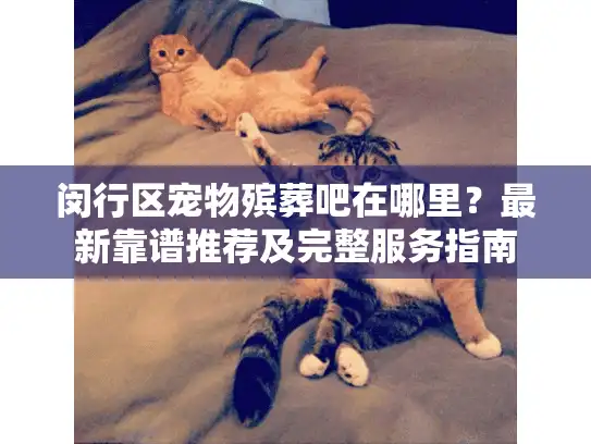 闵行区宠物殡葬吧在哪里？最新靠谱推荐及完整服务指南