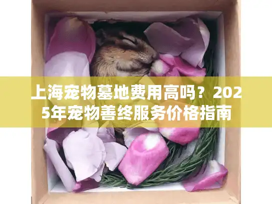 上海宠物墓地费用高吗？2025年宠物善终服务价格指南