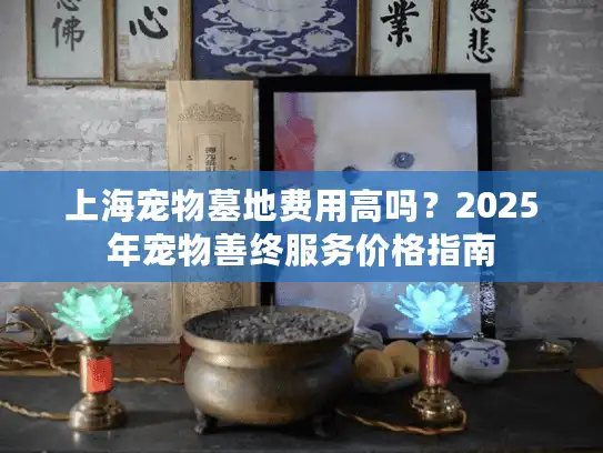 上海宠物墓地费用高吗？2025年宠物善终服务价格指南