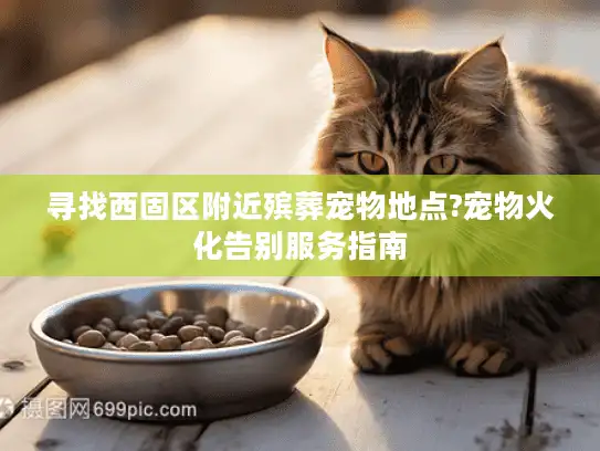 寻找西固区附近殡葬宠物地点?宠物火化告别服务指南