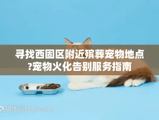 寻找西固区附近殡葬宠物地点?宠物火化告别服务指南
