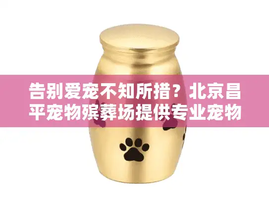 告别爱宠不知所措？北京昌平宠物殡葬场提供专业宠物善终服务