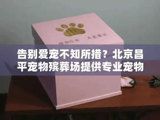 告别爱宠不知所措？北京昌平宠物殡葬场提供专业宠物善终服务