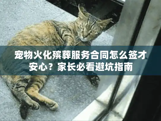 宠物火化殡葬服务合同怎么签才安心？家长必看避坑指南