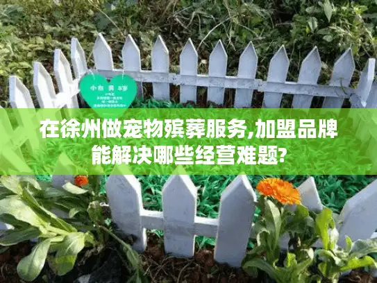 在徐州做宠物殡葬服务,加盟品牌能解决哪些经营难题?