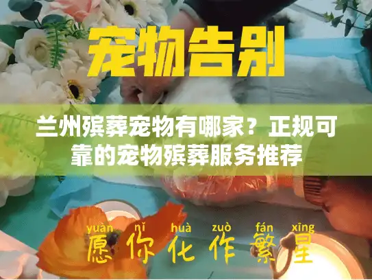 兰州殡葬宠物有哪家？正规可靠的宠物殡葬服务推荐