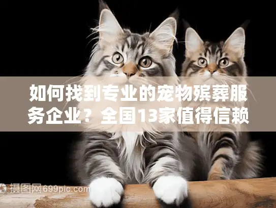 如何找到专业的宠物殡葬服务企业？全国13家值得信赖的品牌盘点
