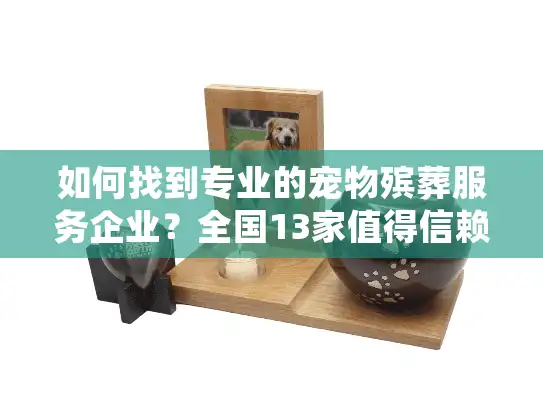 如何找到专业的宠物殡葬服务企业？全国13家值得信赖的品牌盘点