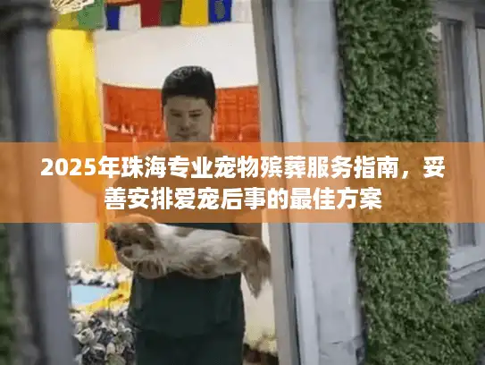 2025年珠海专业宠物殡葬服务指南，妥善安排爱宠后事的最佳方案