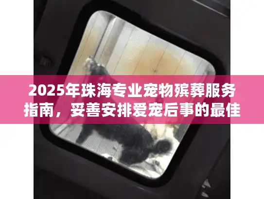 2025年珠海专业宠物殡葬服务指南，妥善安排爱宠后事的最佳方案