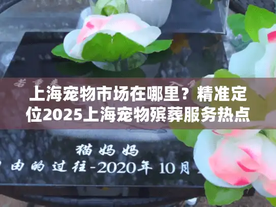 上海宠物市场在哪里？精准定位2025上海宠物殡葬服务热点区域